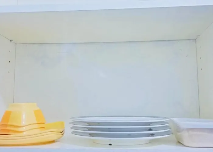 Avida